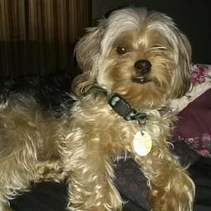 Meet your Posher, Lisa